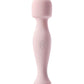 Share Satisfaction Mini Wand