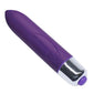 Rocks Off 7-Speed Purple Bullet